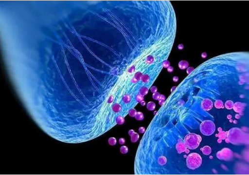 腦機接口的主要技術