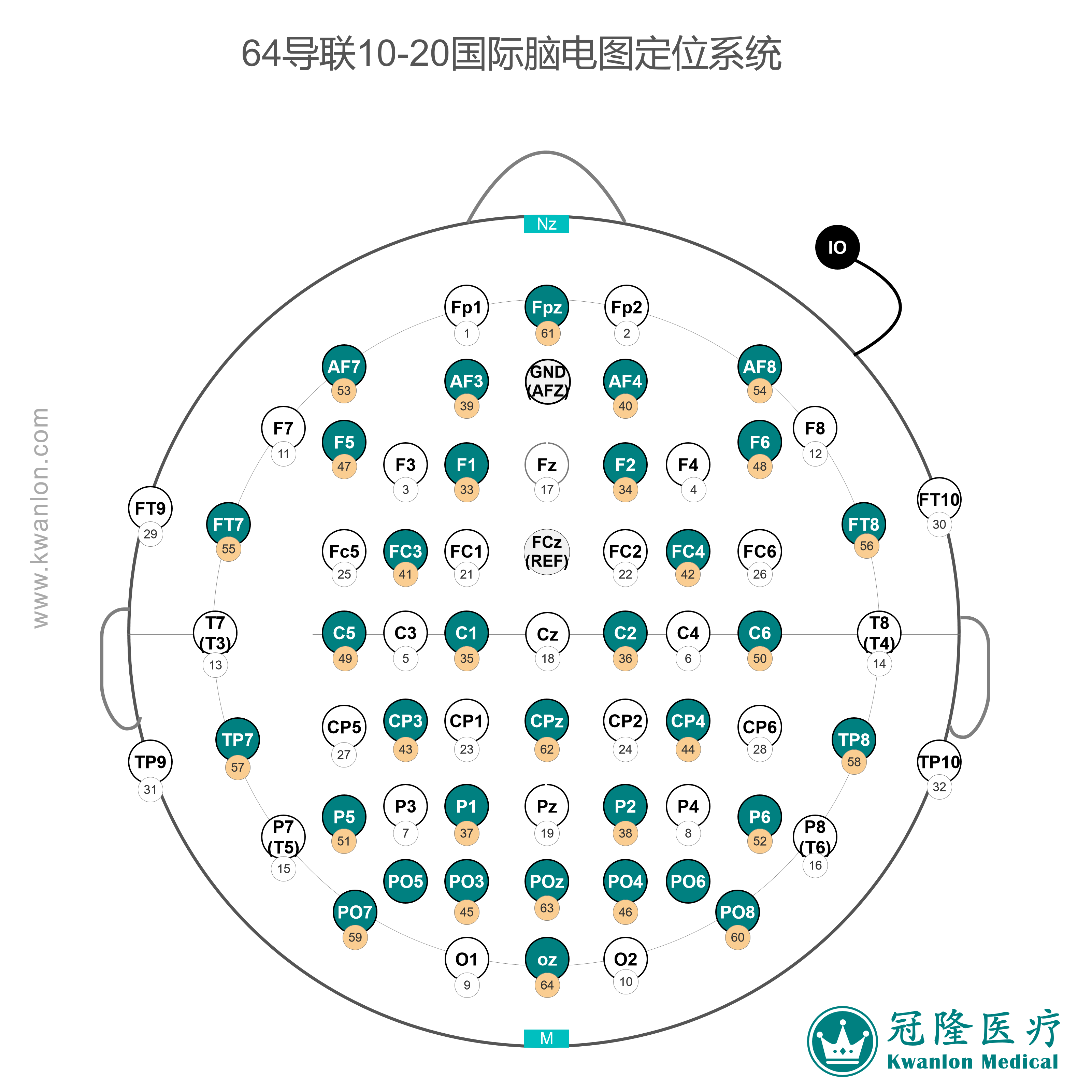 64導國際腦電圖電極定位