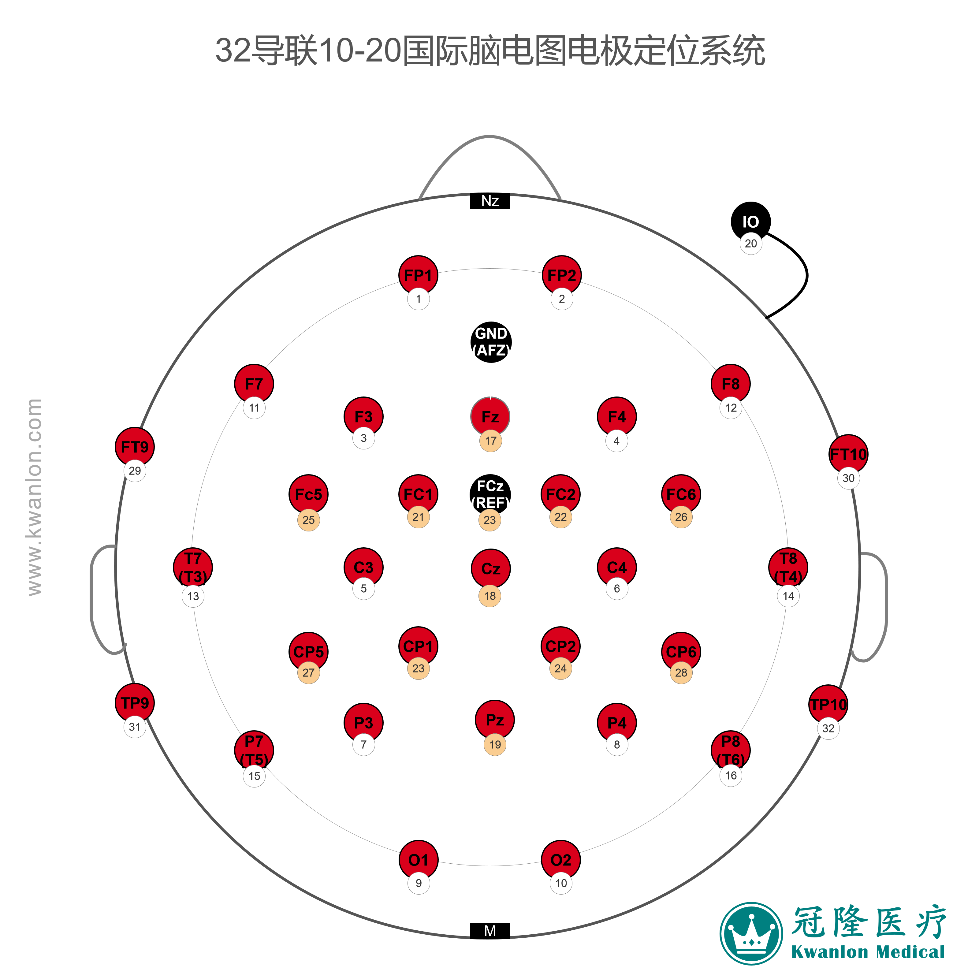 33導10-20國際腦電圖電極定位